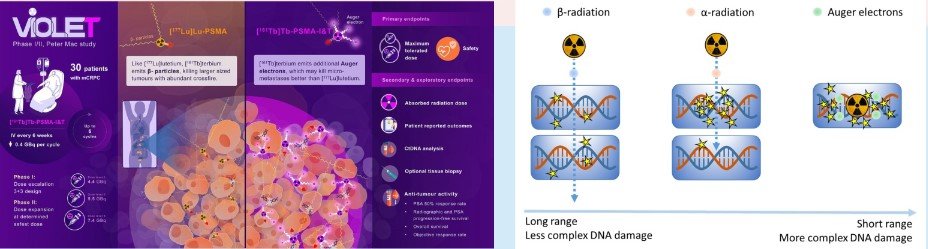 Indications Radioiodine Therapy